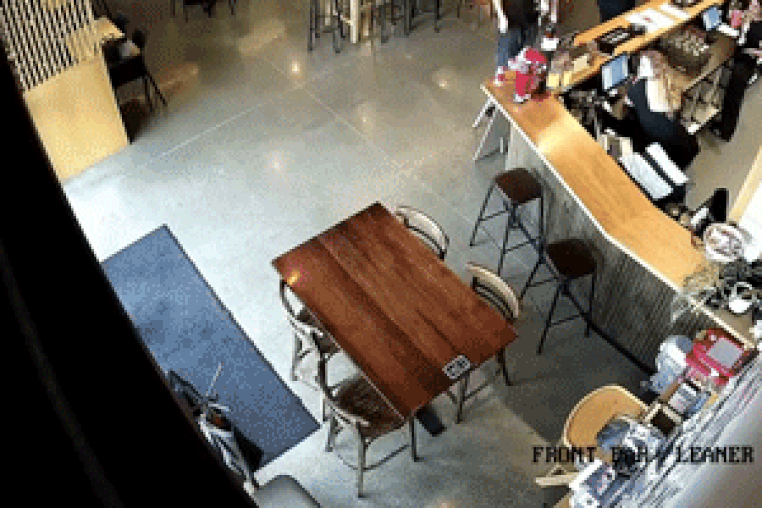 This security footage provided by Sprig + Fern The Meadows, shows a seal walking inside bar in Richmond, New Zealand, on Nov. 30, 2025.